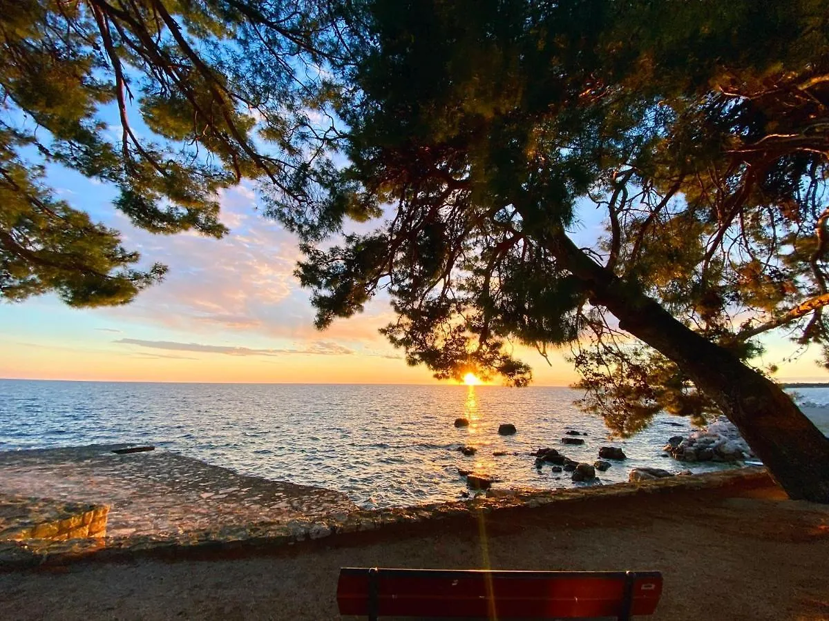 Aurelis Apartments Poreč 0*,